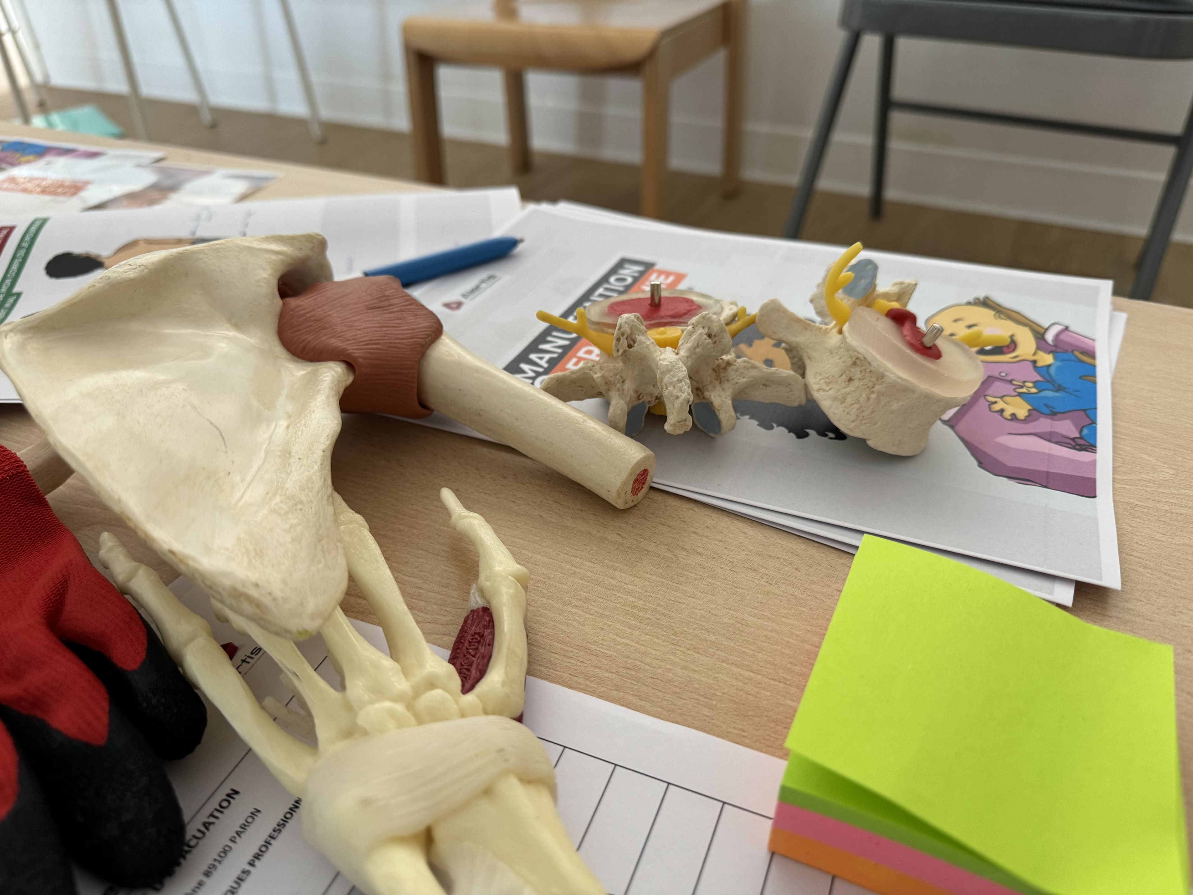 Formation Gestes et Postures à Troyes — image 1